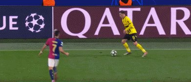 1744756086993000519.gif 多巴78.gif